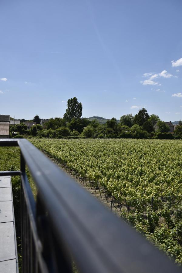 Manoir Henri Giraud & Spa Ay-Champagne Esterno foto
